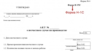Акт Н-1с