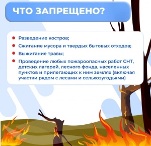 т ттрр