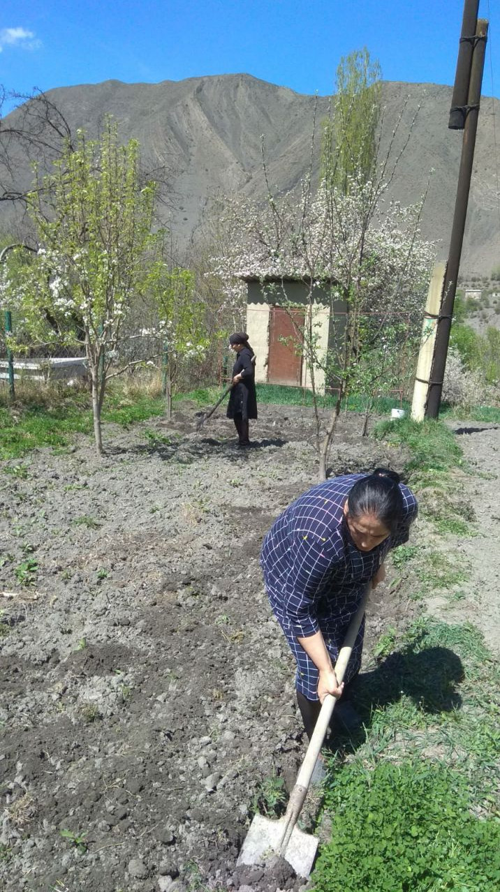 Социальная неотложка .