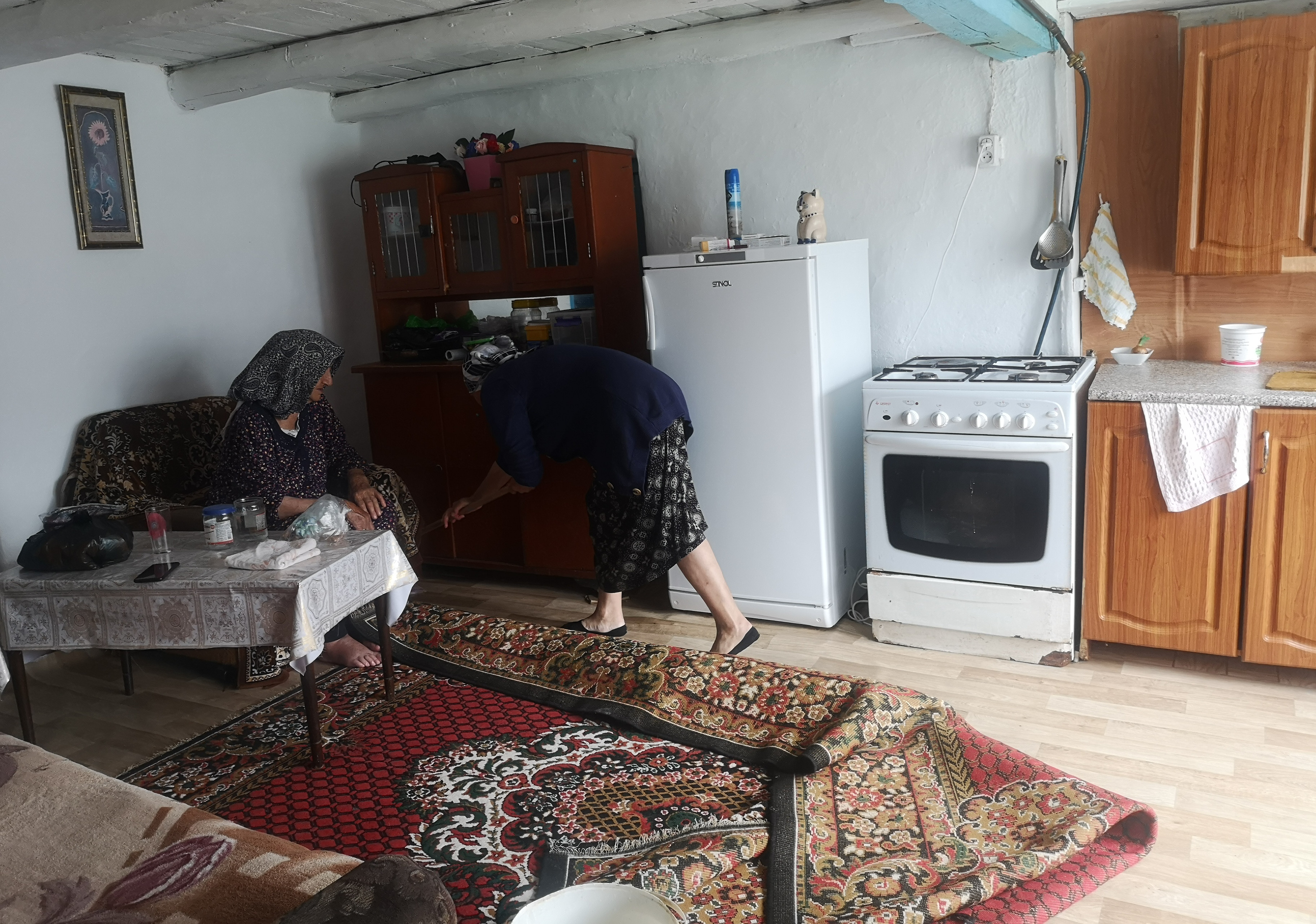 Сардарова А. оказывает бытовые услуги своей подопечной