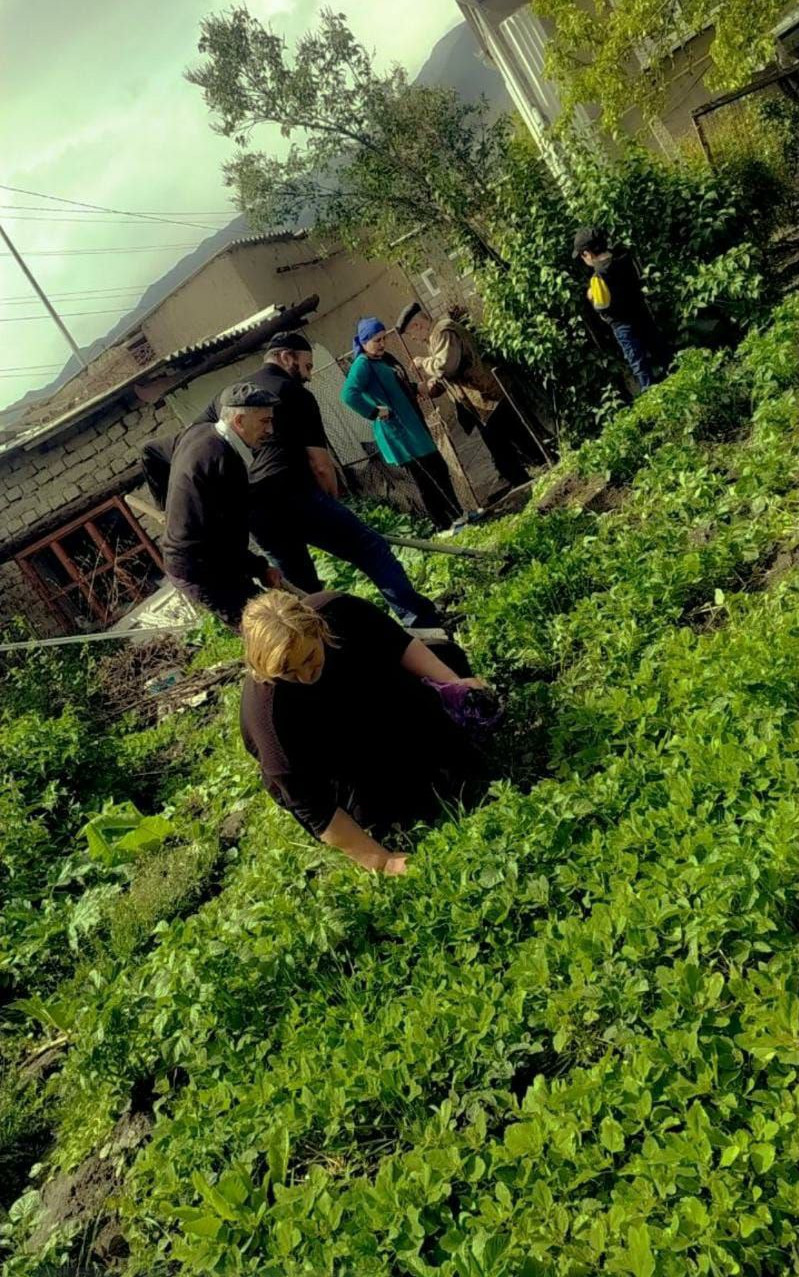 "Социальная неотложка"