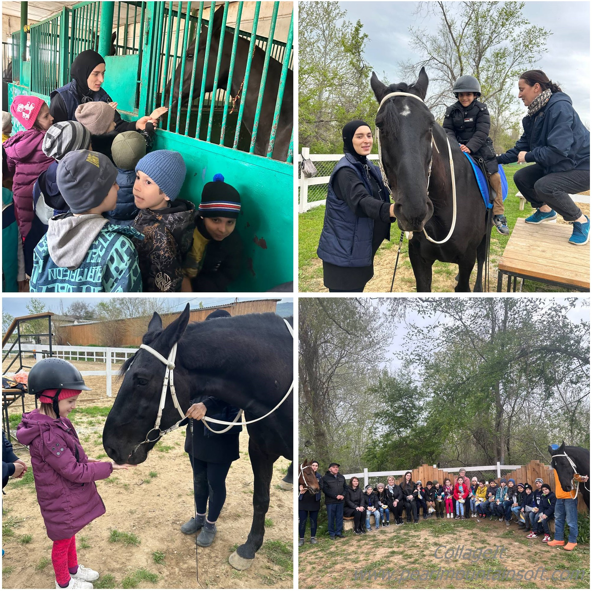 Воспитанники дошкольного отделения ГКУ РД СРЦН (г. Махачкала) посетили конный клуб «Узден»