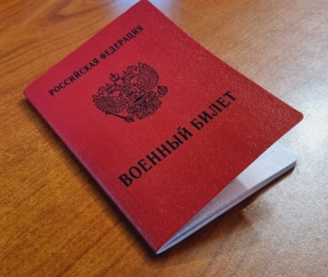 Семьи мобилизованных будут на особом счету у государства