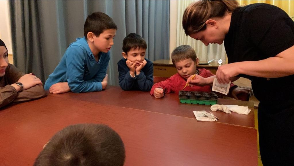 Занятие, в стационарном пребывании, на тему: "Огород на подоконнике".