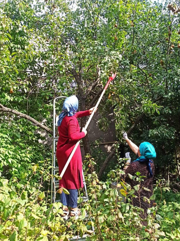 Социальная неотложка