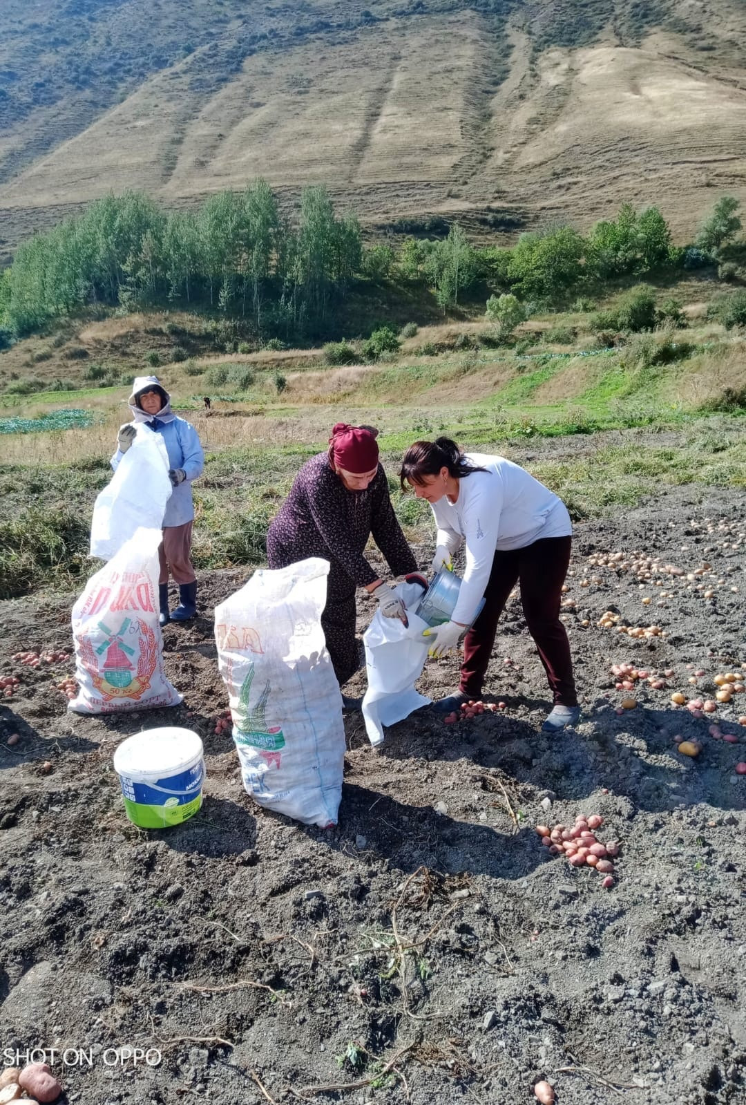 Осень. Помощь подопечным