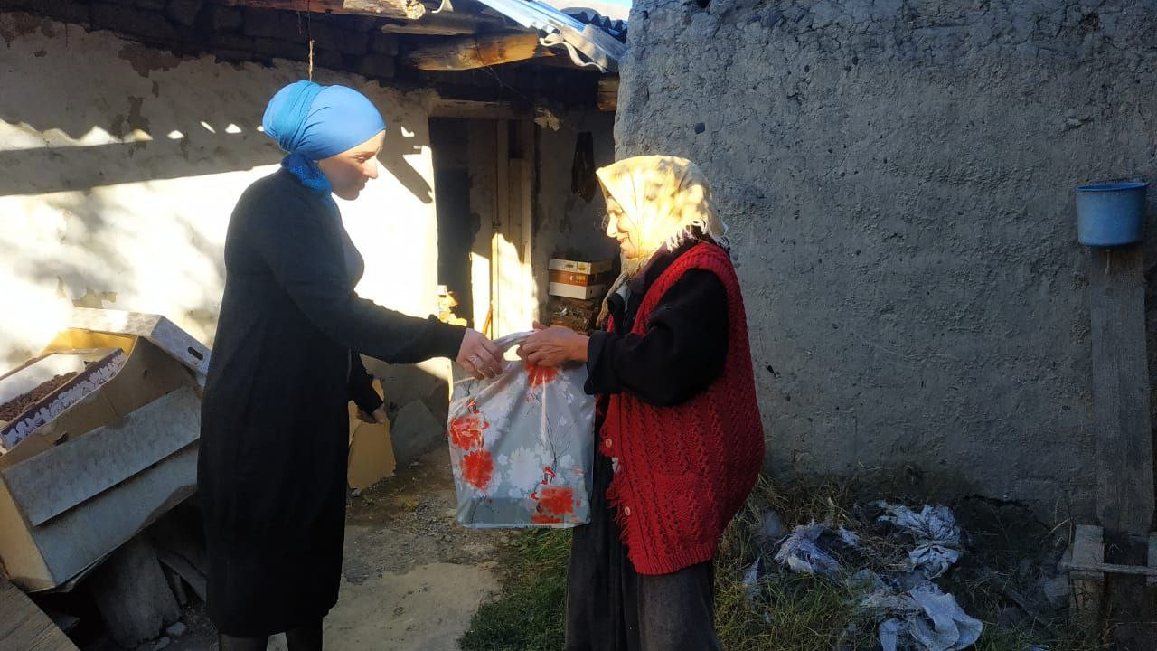 Добрые руки"