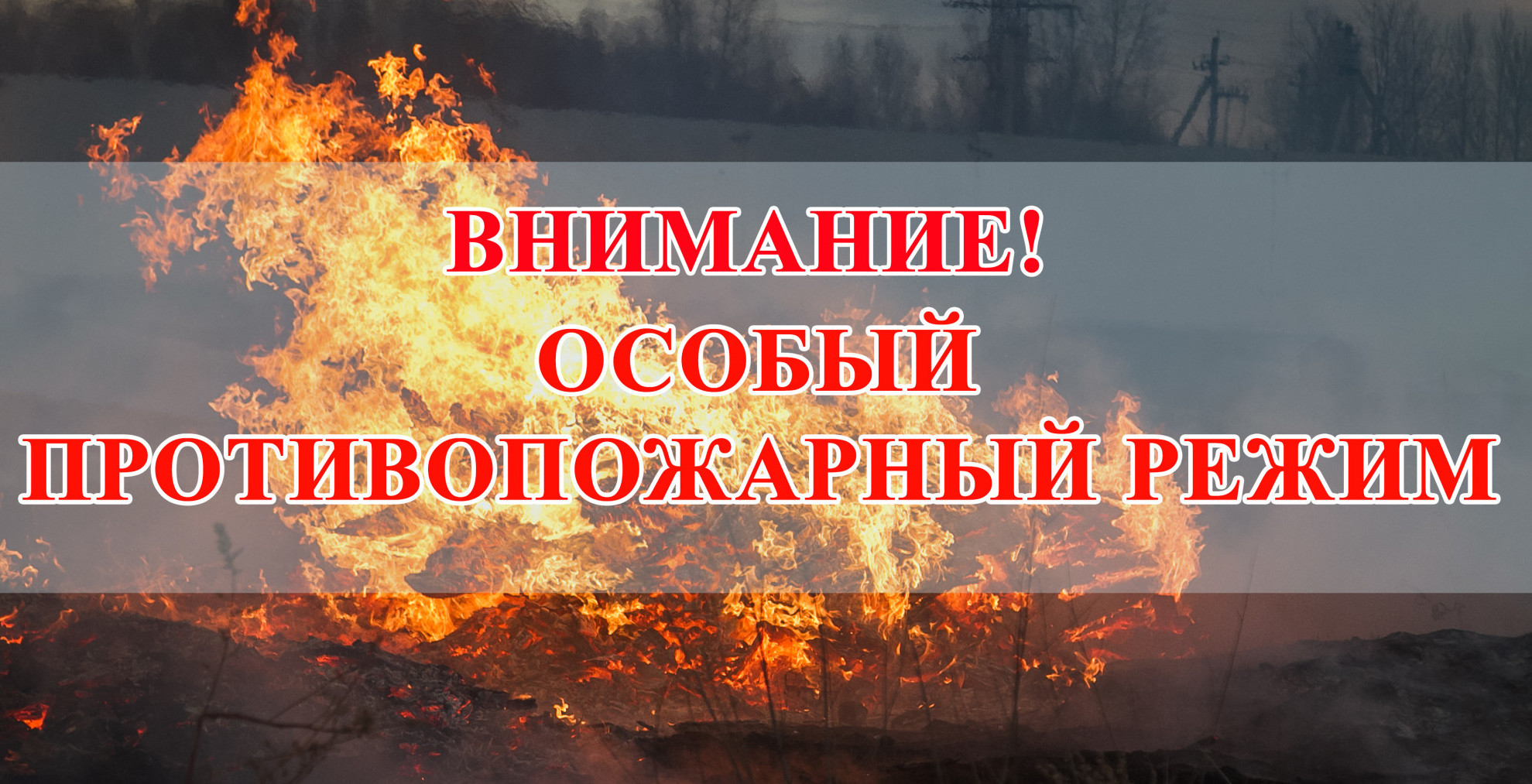 Об установлении особого противопожарного режима на территории Республики Дагестан