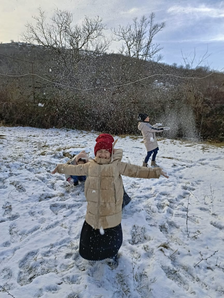 Экскурсия в зимний сад