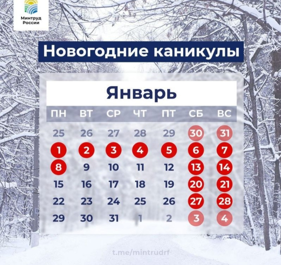 НОВОГОДНИЕ КАНИКУЛЫ!