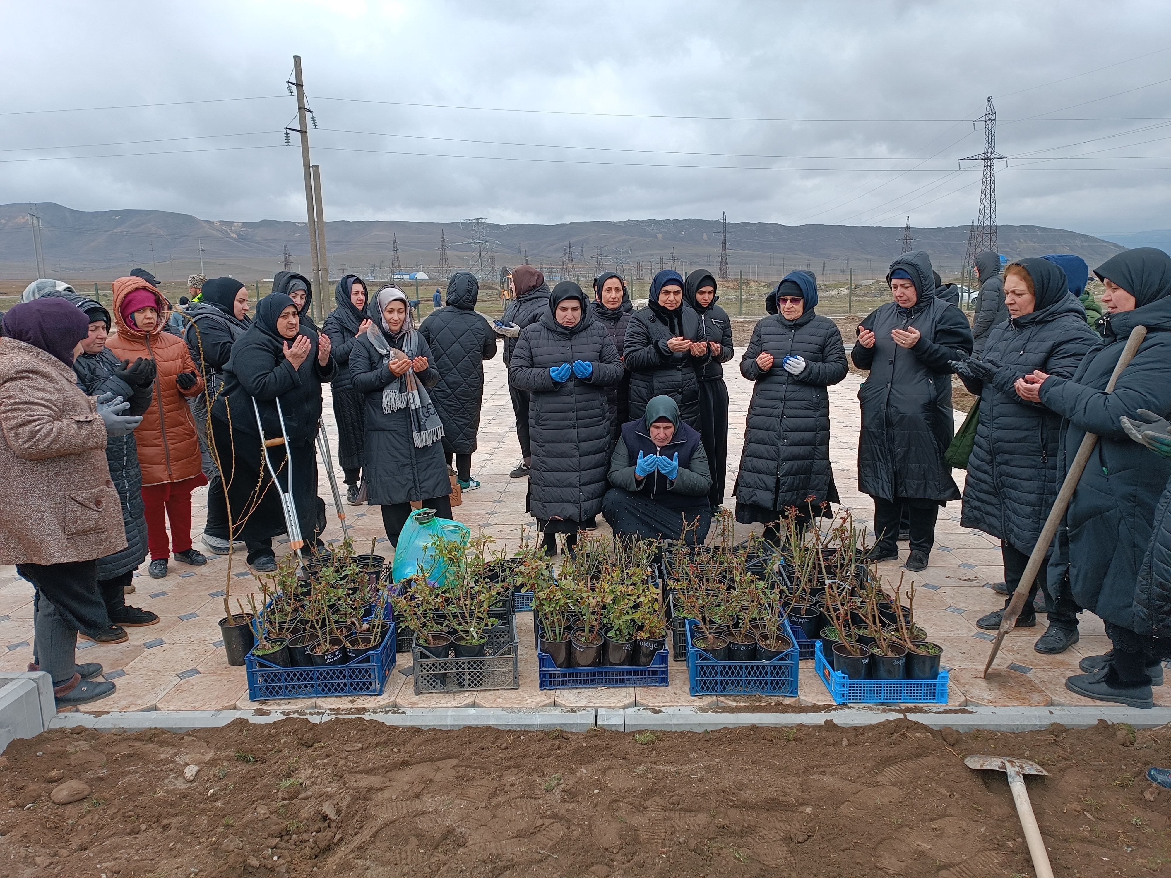 Социальные работники Кизилюрта приняли участие в посадке деревьев "Саду памяти" участникам СВО