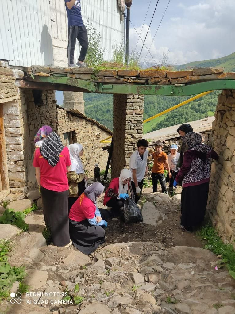 "Чистое село"