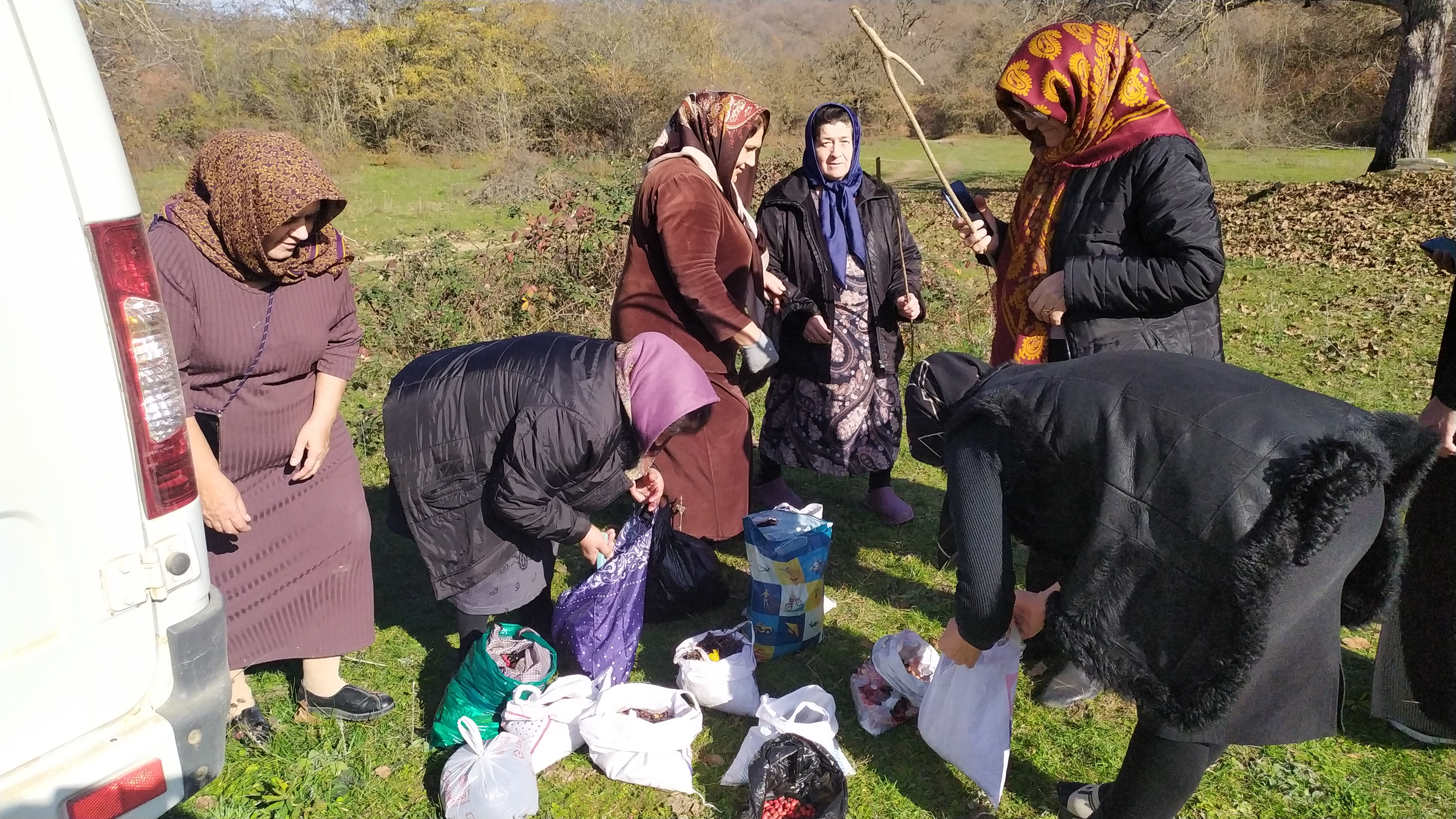 Социальный туризм-сбор лекарственных трав и ягод