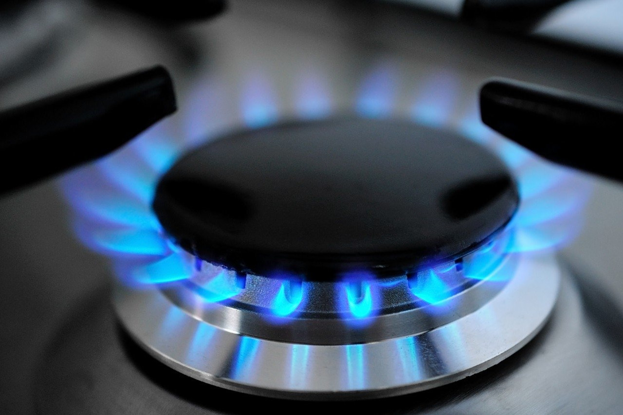 предоставления субсидии на покупку и установку газоиспользующего оборудования и проведение работ внутри границ их земельных участков в рамках программы  догазификации