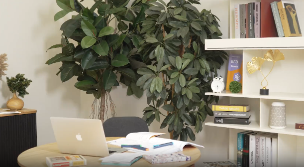 ГБУ РД Кцсон в МО 'Агульский район ' объявляет конкурс рисунков среди учащихся 5-7 классов с Тпиг.