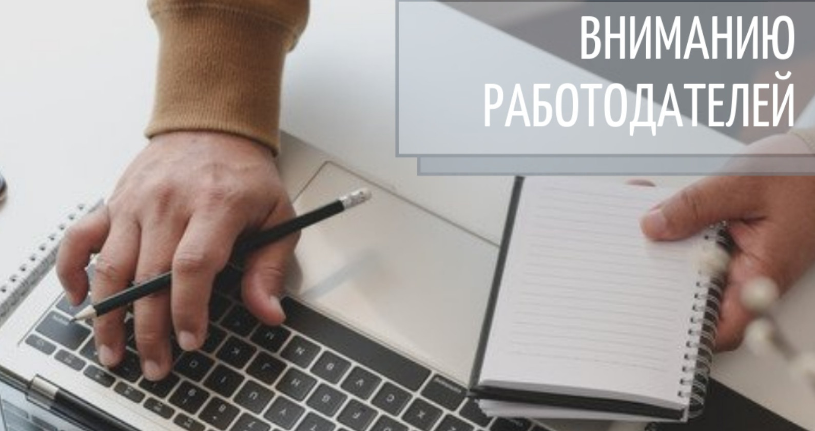 Внимание работодатель!