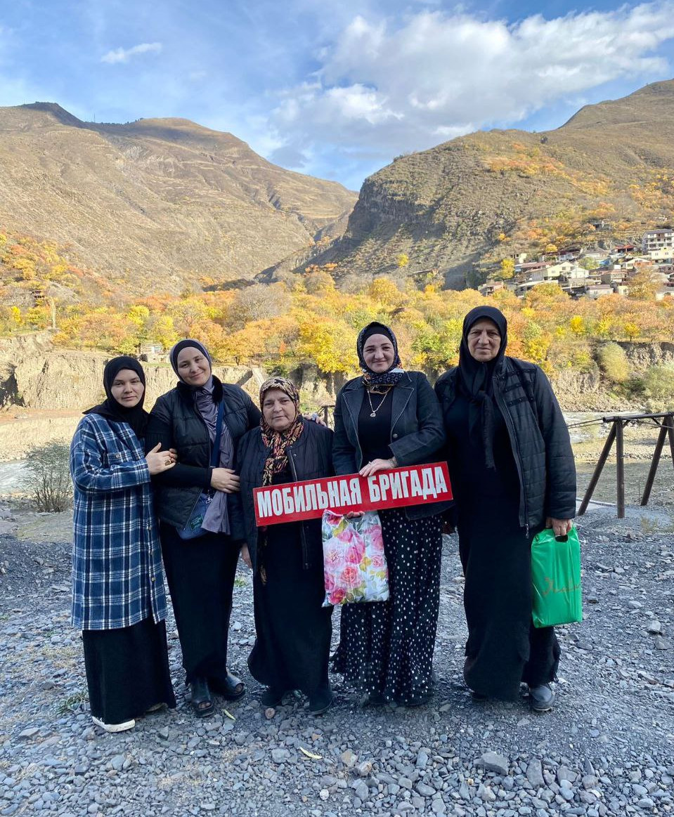 Мобильная бригада