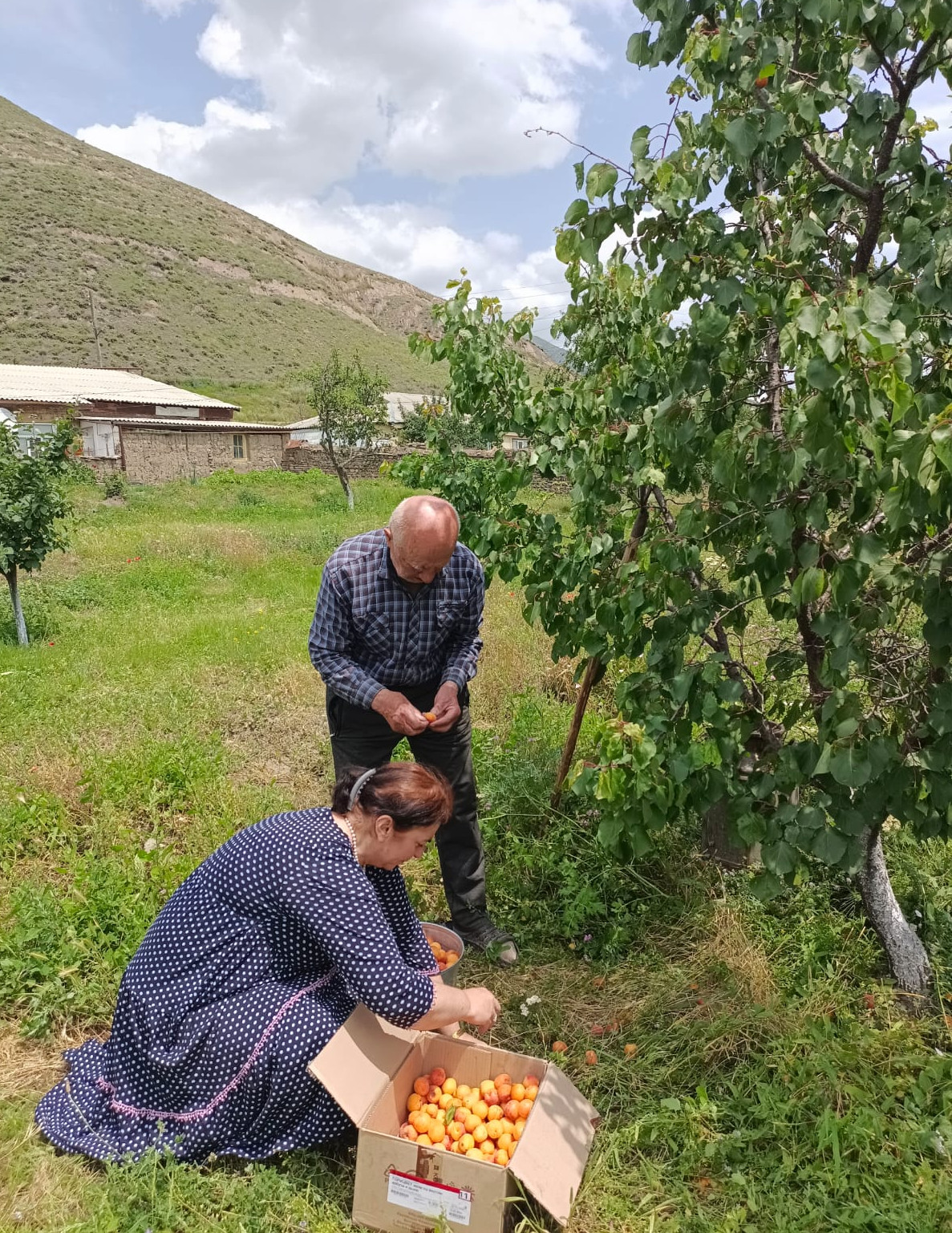 Будни социальных работников