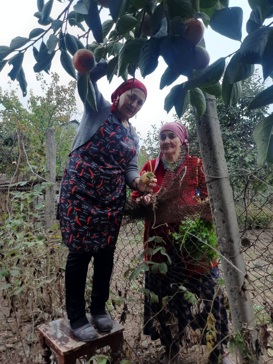 Социальный работник 2-го отделения граждан пожилого возраста и инвалидов на дому Омаркадиева Ш. оказывает социально-бытовые услуги