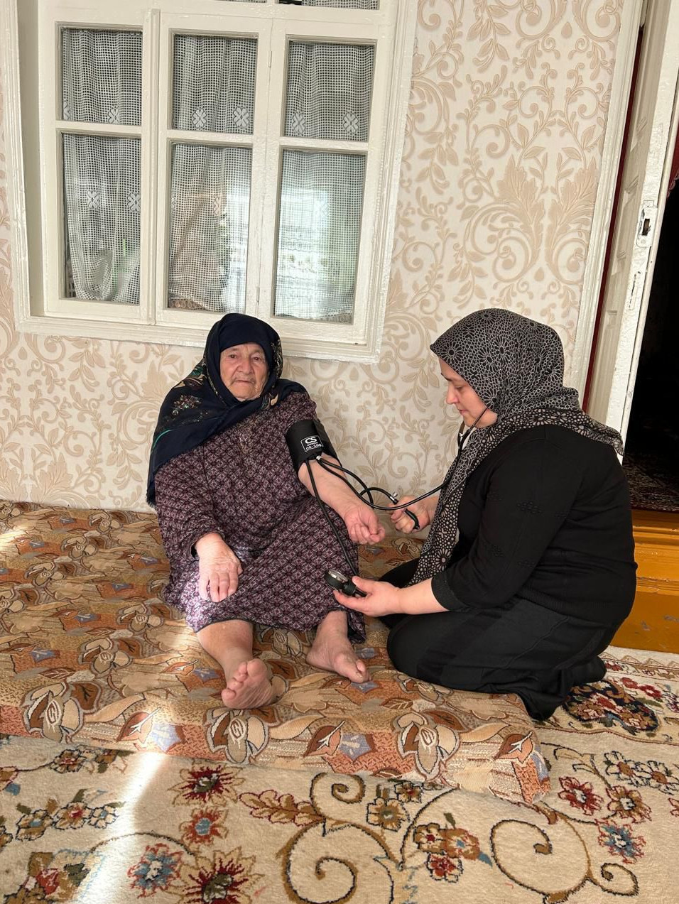 Социальный работник за измерением артериального давления своей подопечной.