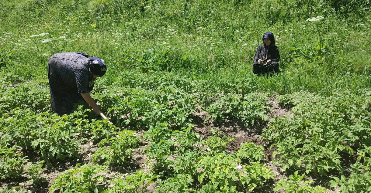 Социальный работник Зубаирова Гулишат К. за выполнением своих обязанностей (обработка приусадебного участка)