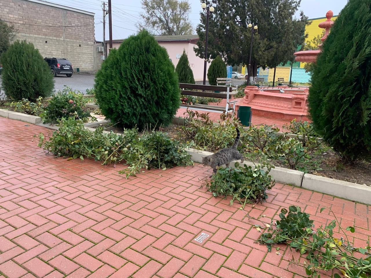 Осенней субботник