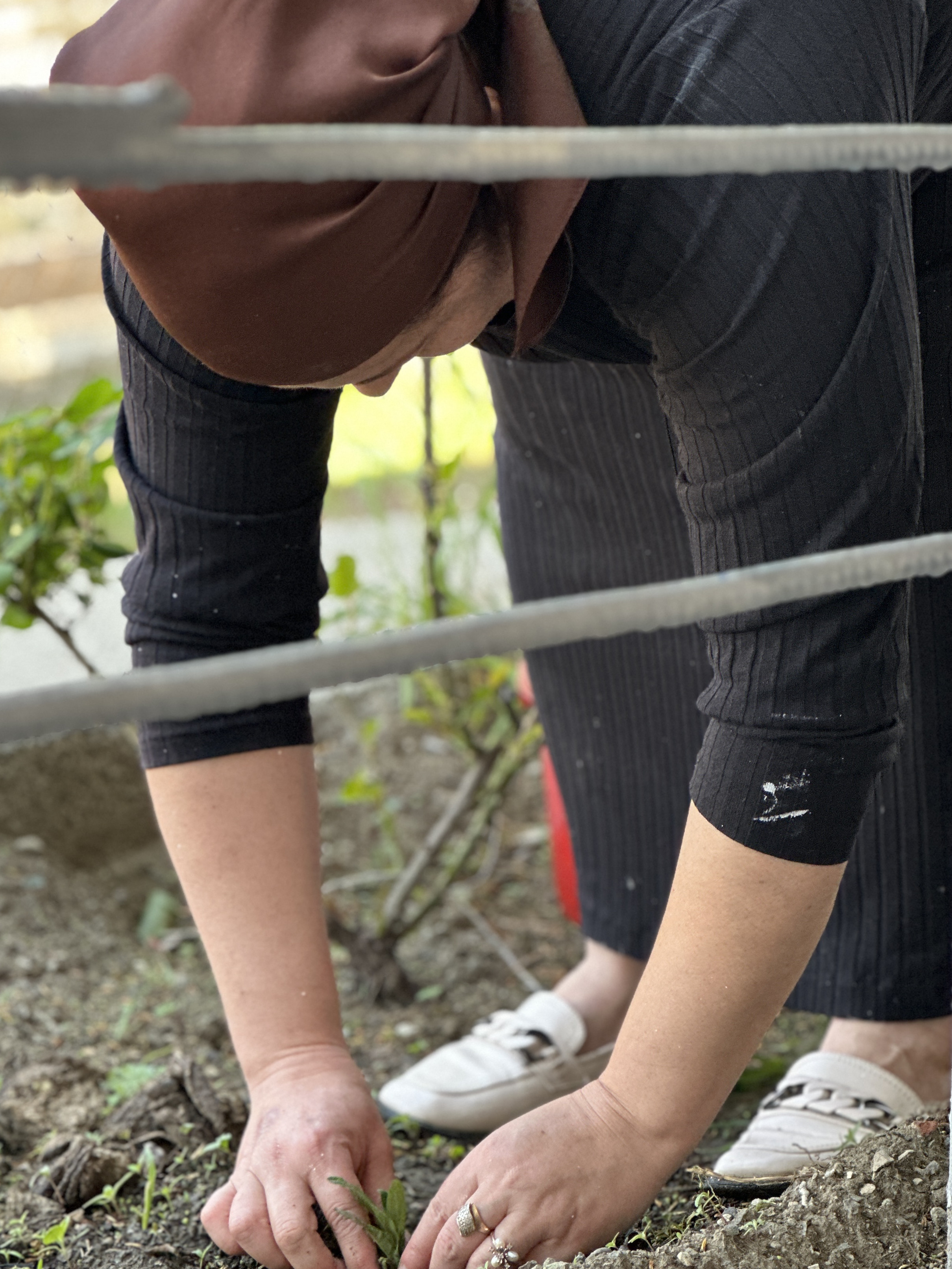 Сегодня, 20.04.2024г. коллектив ГБУ РД КЦСОН в МО «Ботлихский район» принял участие в общереспубликанском субботнике.