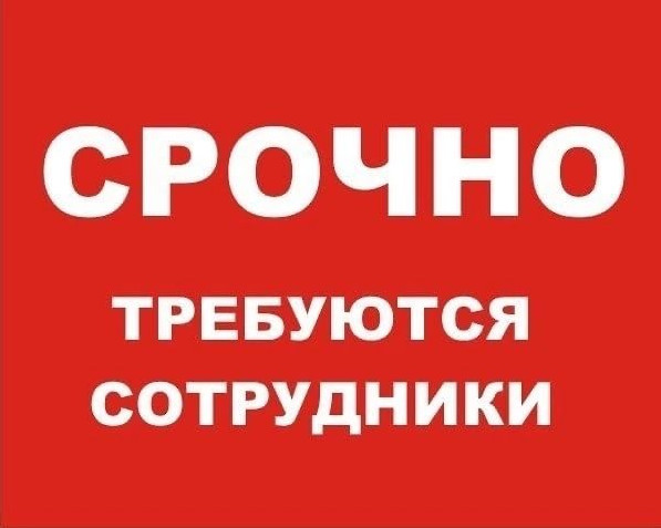 Информация о проведении Межрегиональной ярмарки вакансий.