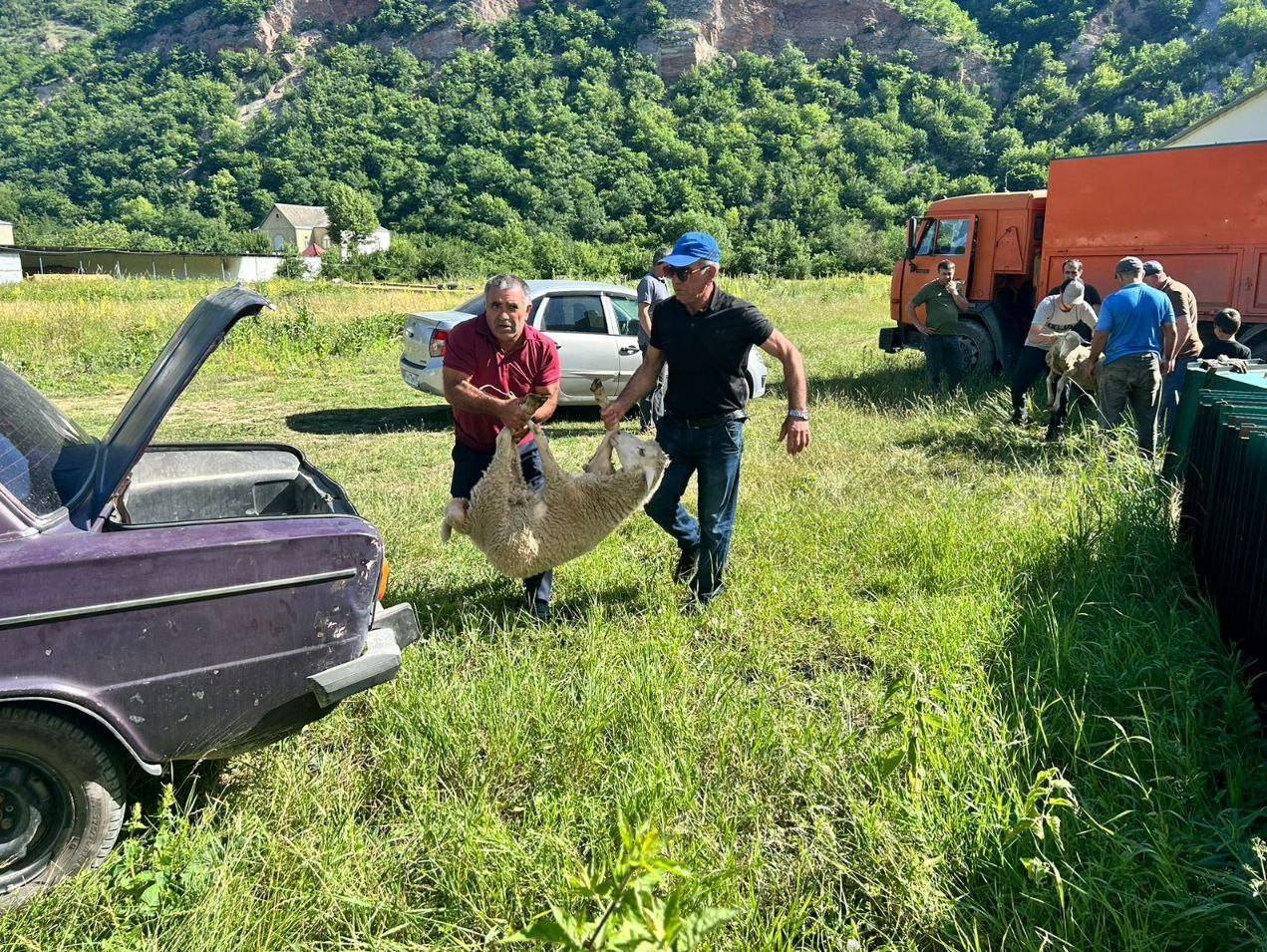 АКЦИЯ НА КУРБАН БАЙРАМ