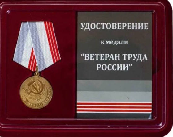 Об утверждении Положения о порядке присвоения звания «Ветеран труда Республики Дагестан»