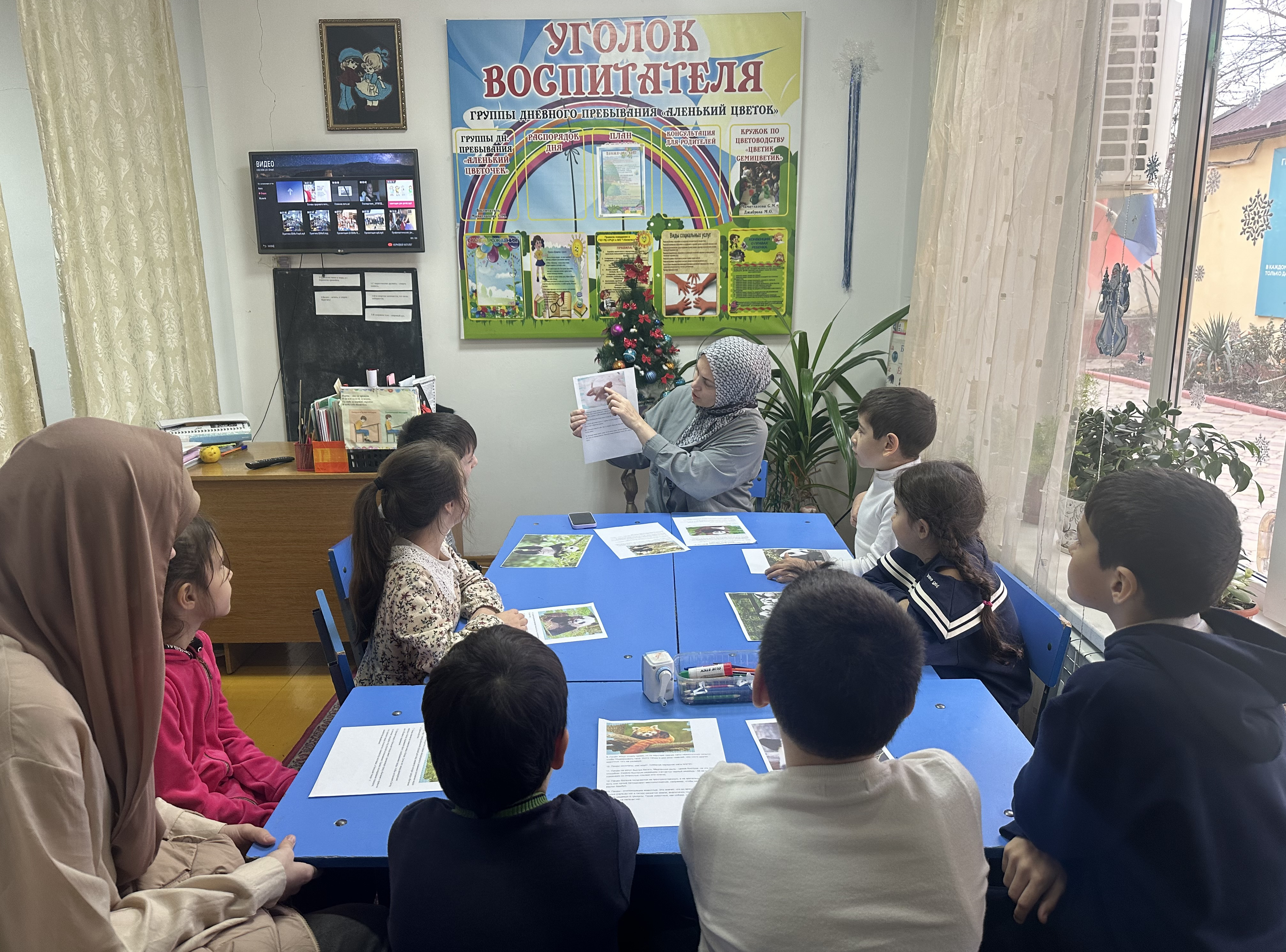 "Загадочные панды"