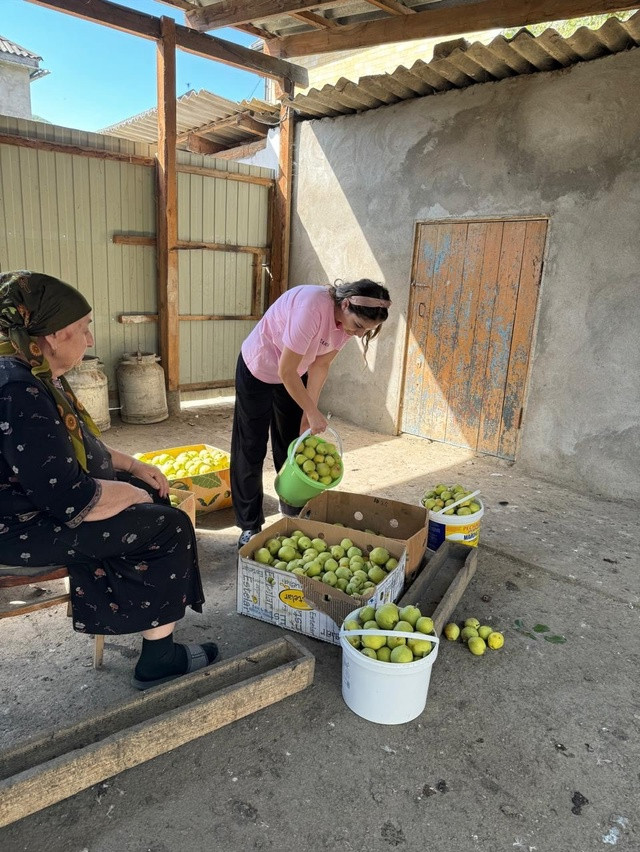 Патронаж подопечных