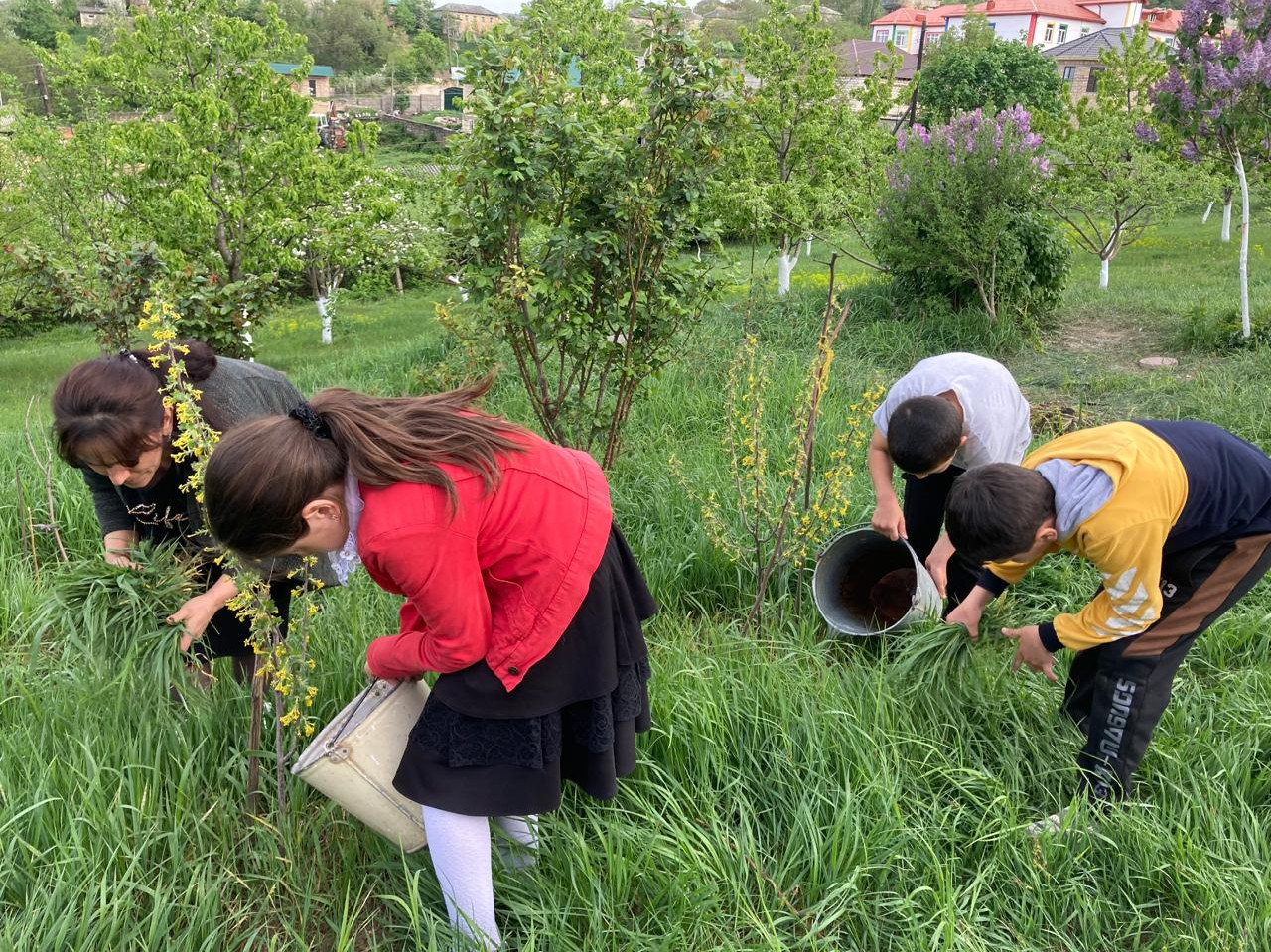 Трудотерапия – залог успешного развития воспитанников