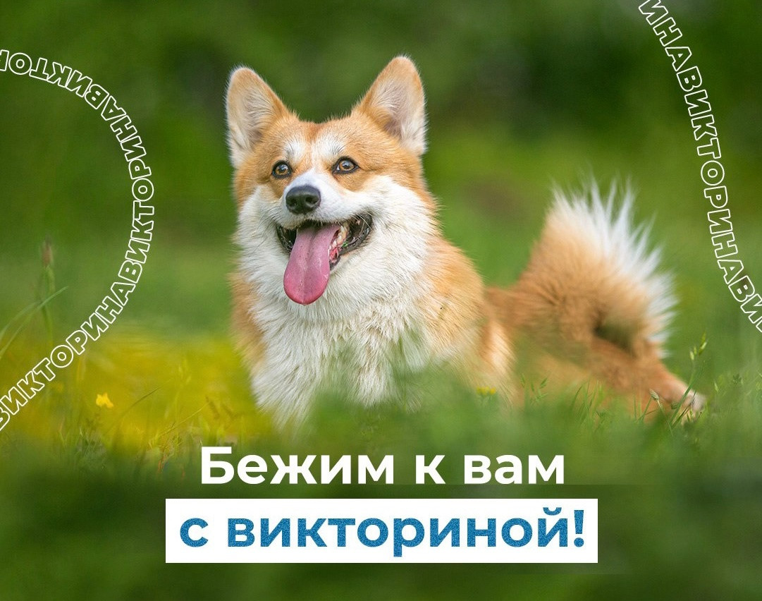 Трудовые права в вопросах и ответах: проверьте себя