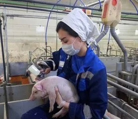 АО «Мерси Агро Сахалин» принимает на работу!