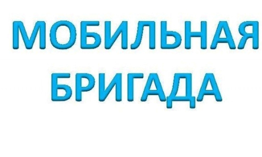 Мобильный выезд в село Алмало