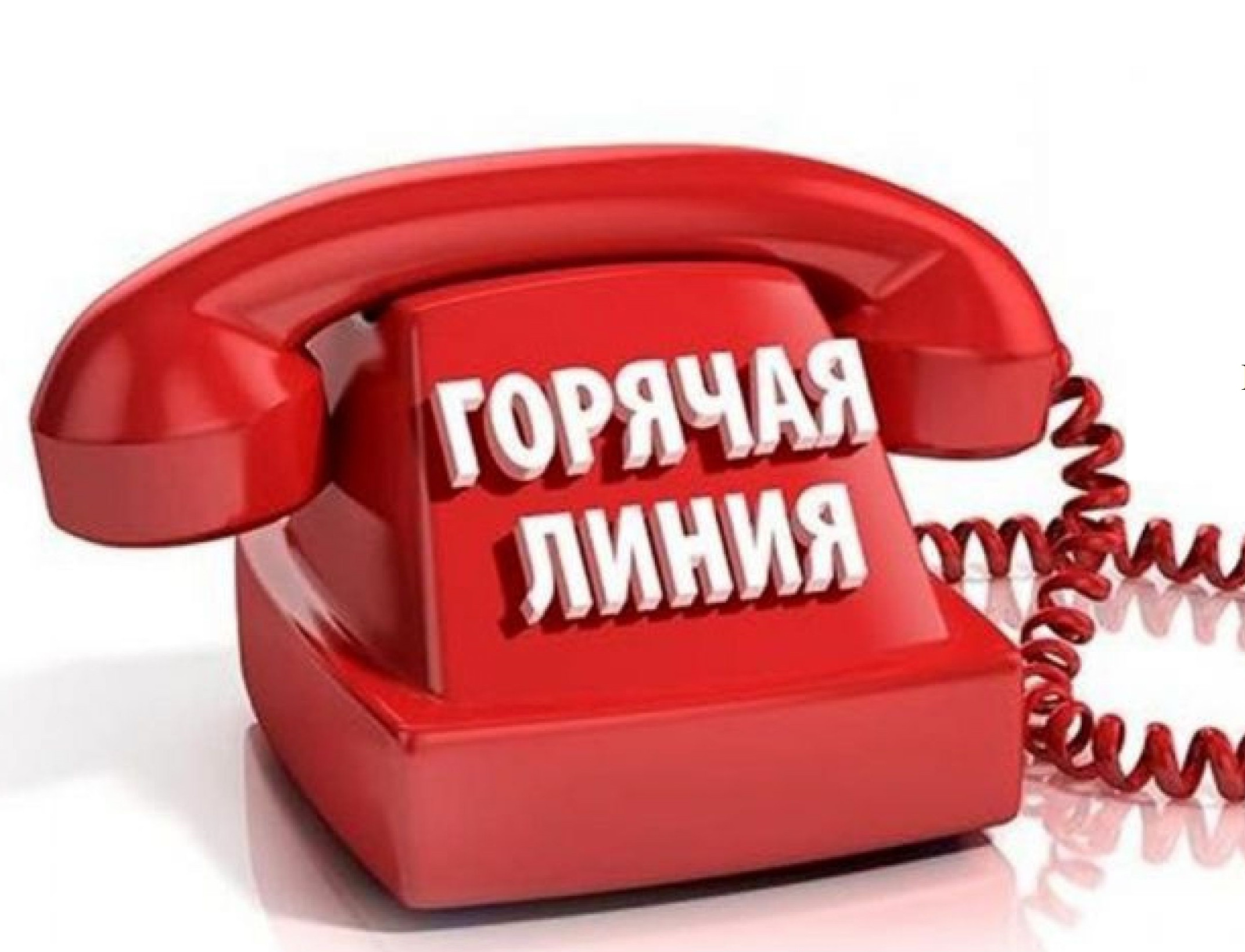 Информация по функционированию телефона "Горячая линия"