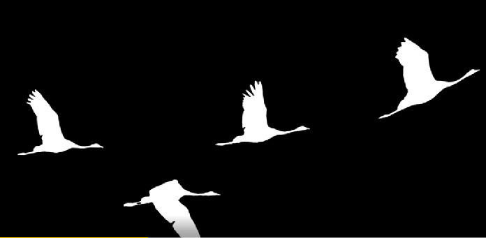 Мурад Казиев прокомментировал теракт, произошедший сегодня в «Крокус Сити Холле».