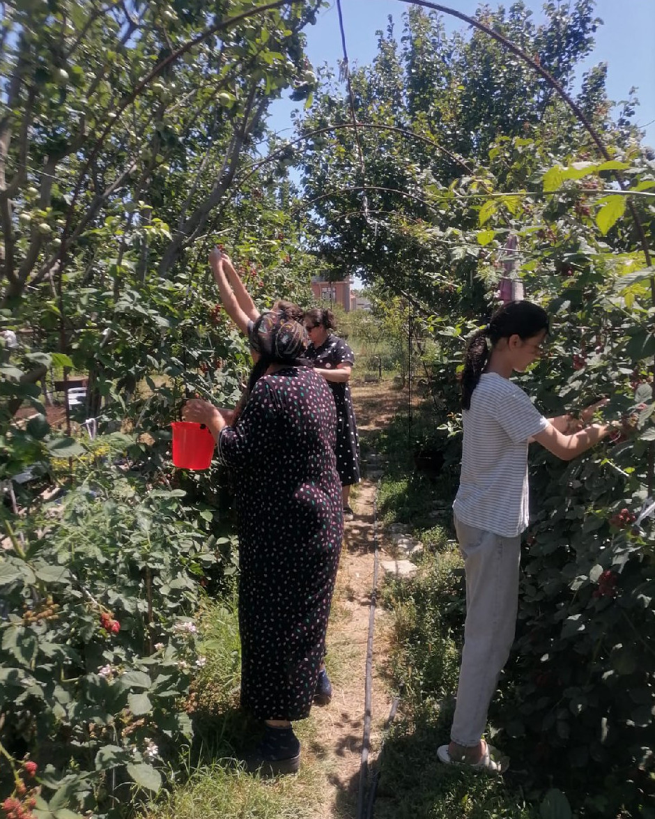 Акция "День добрых дел"