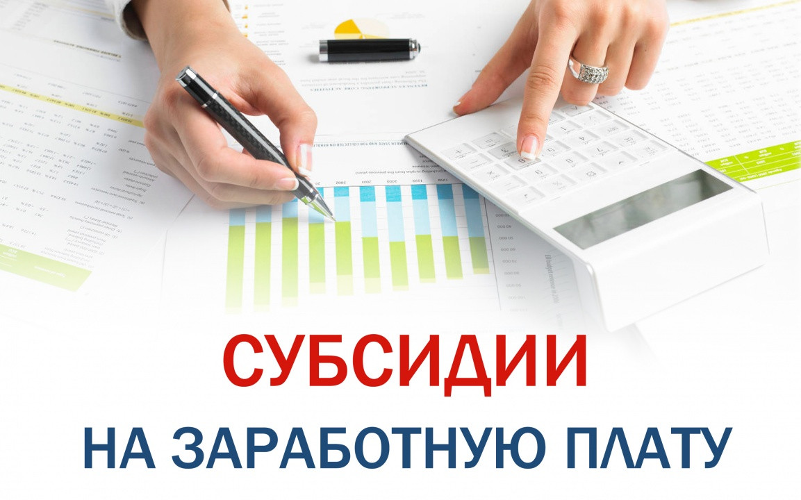 Информация О проведении отбора получателя субсидий