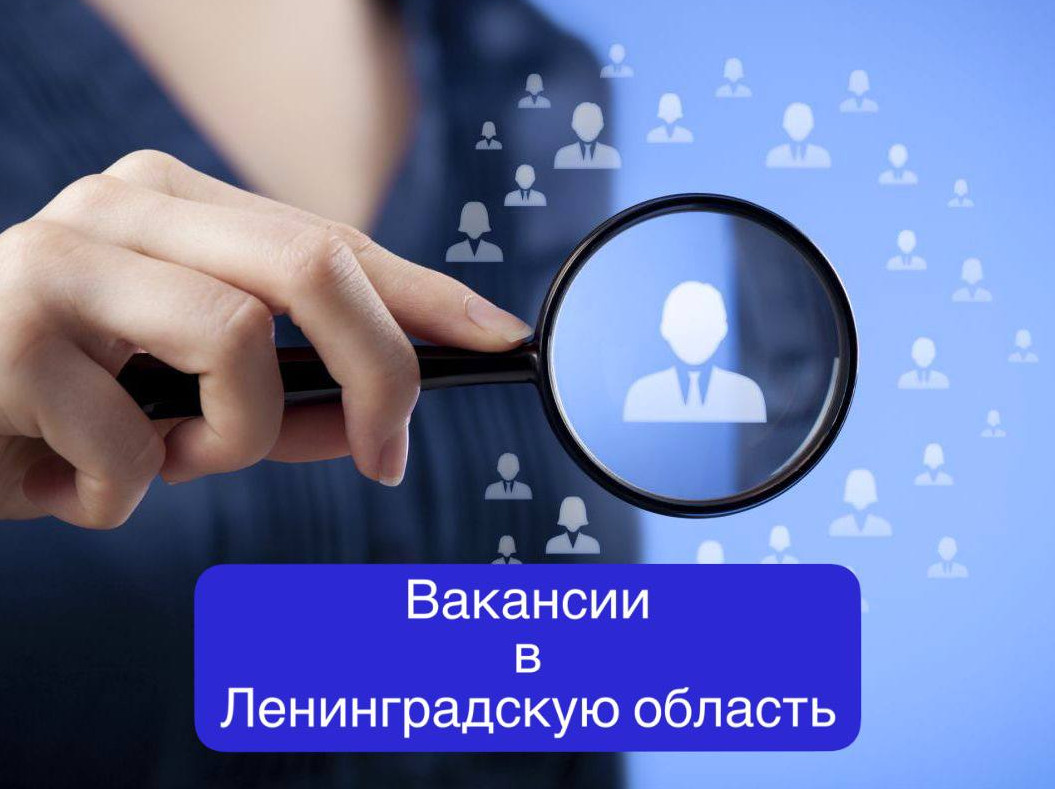 ВАКАНСИИ В ЛЕНИНГРАДСКУЮ ОБЛАСТЬ!
