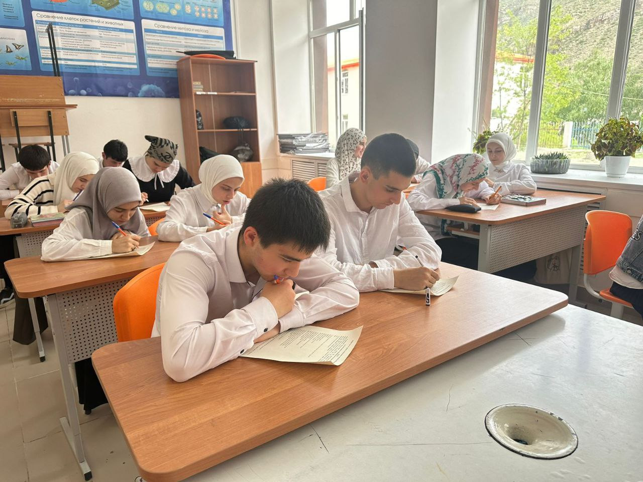 ПРОФЕССИОНАЛЬНЫЙ КОМПАС -2024!!!