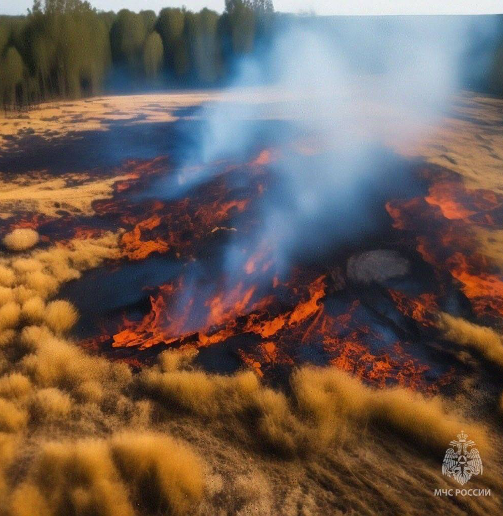 МЧС России: береги братьев наших меньших
