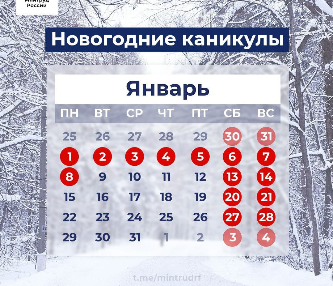 НОВОГДНИЕ КАНИКУЛЫ!