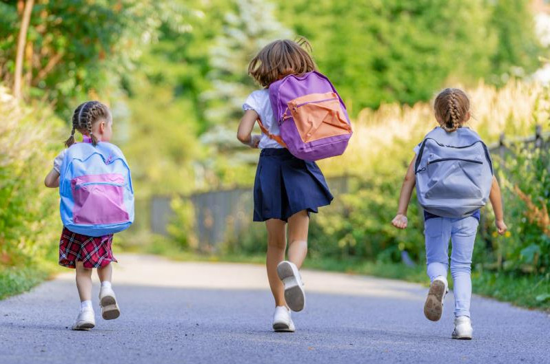 С 1 июля 2024 года начался прием документов на единовременную денежную выплату на детей, поступивших в 2024 году в первый класс.