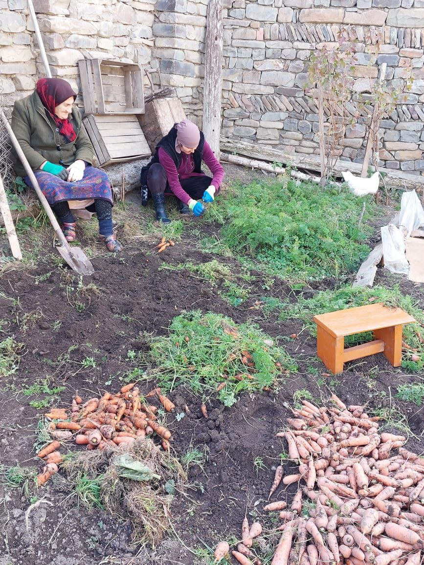 Будни социальных работников