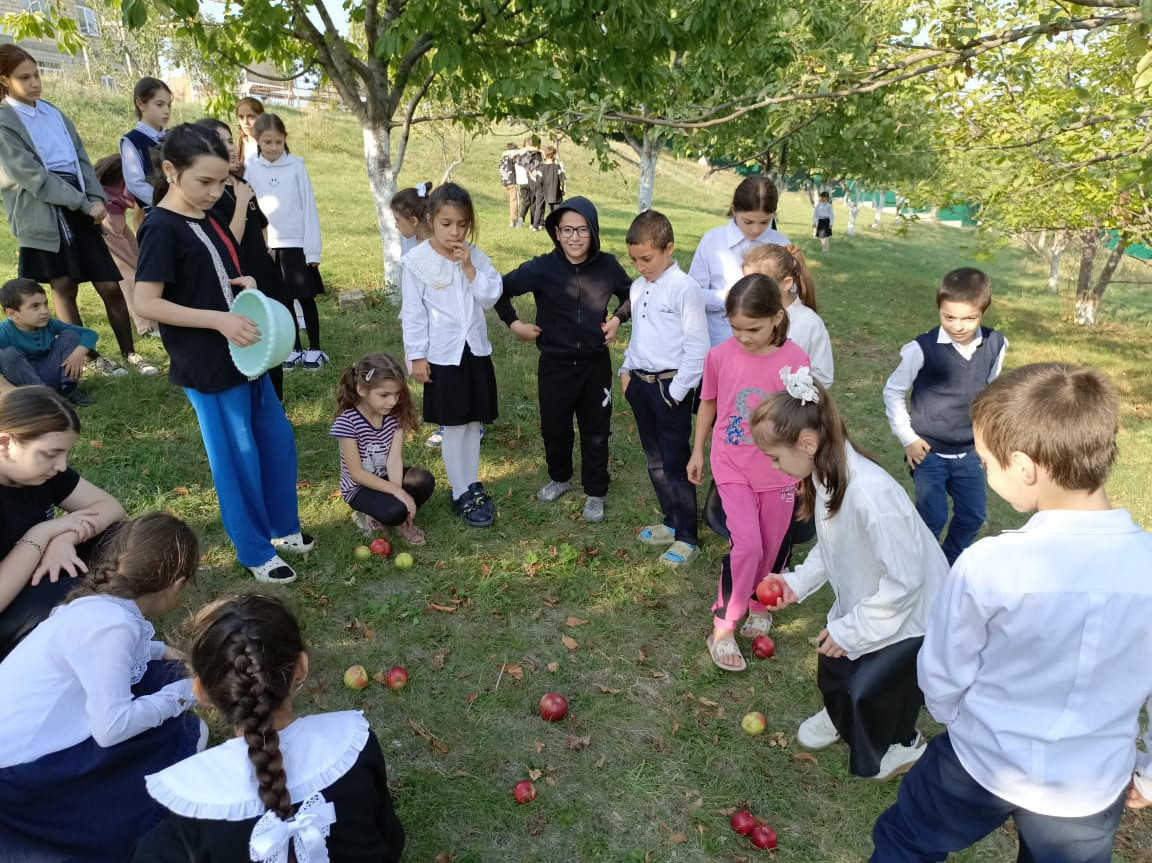 Осенний сбор урожая