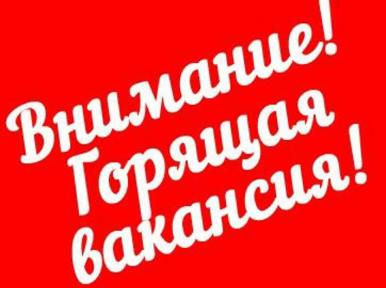 НАЛИЧИЕ ВАКАНСИЙ ДЛЯ БЕЗРАБОТНЫХ ГРАЖДАН В ЗАПОРОЖСКОЙ ОБЛАСТИ