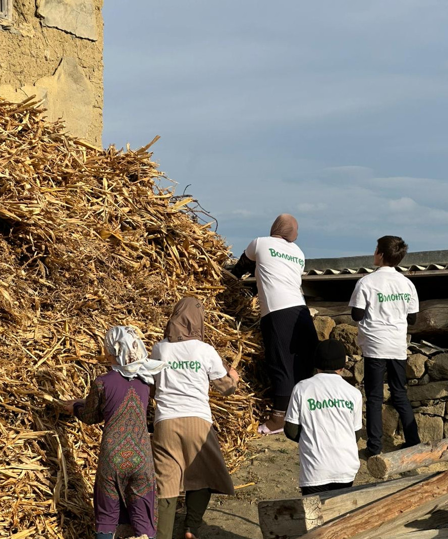 Социальный работник социального обслуживания на дому отделения N-2 по с.Годобери Магомедова Мадина оказывает, дополнительные услуги совместно с волонтерами подопечной Сагидгусеновой Мисиди .