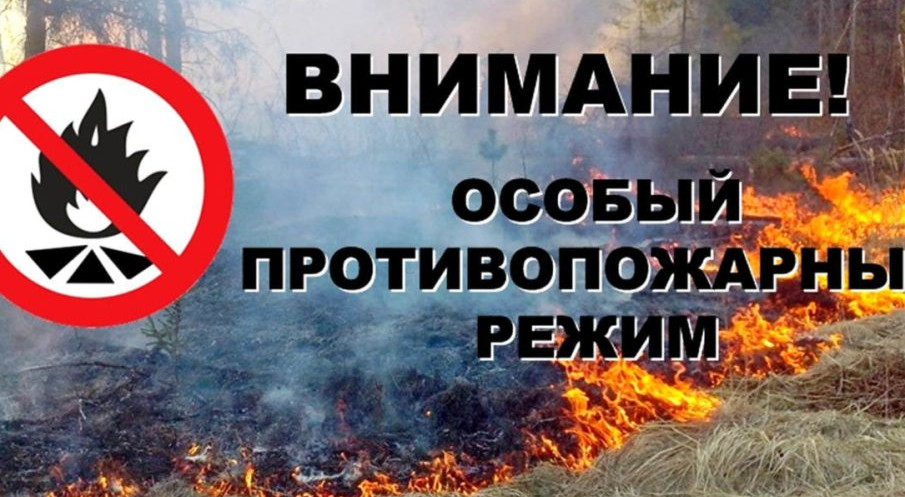 Об установлении особого противопожарного режима на территории Республики Дагестан